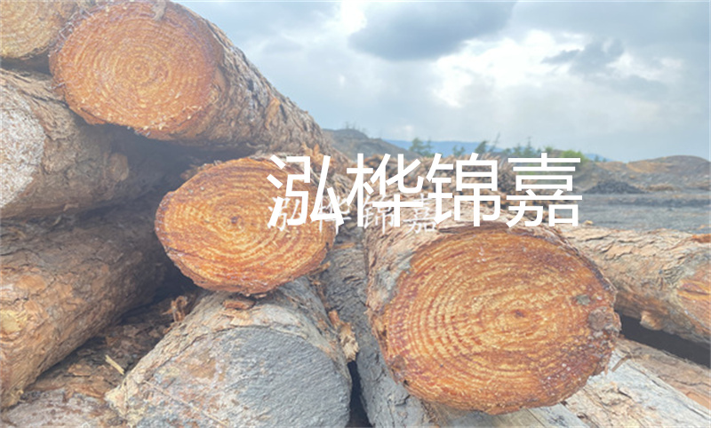 杉木樁5米長價(jià)格-打造堅(jiān)固的基礎(chǔ)，穩(wěn)固未來之道