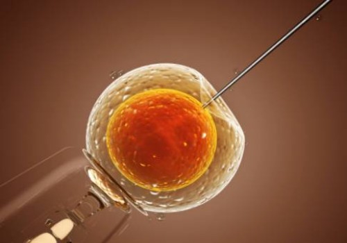 寧波試管助孕公司：靜脈曲張會不會遺傳，這些治療方式能有效幫助解決煩惱