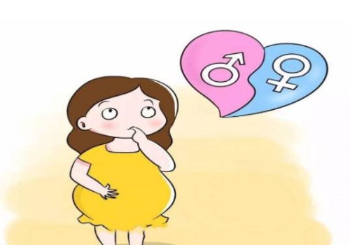 懷孕6個月的孕肚變化，這些事項孕媽媽要知道