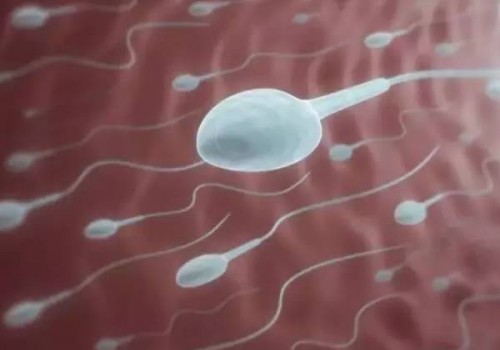 為什么懷孕吃螃蟹會流產(chǎn)，原因可能是這個