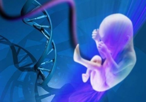 堵奶去醫(yī)院效果好還是找專(zhuān)業(yè)的催乳師好？盲目堵奶對(duì)身體并不好