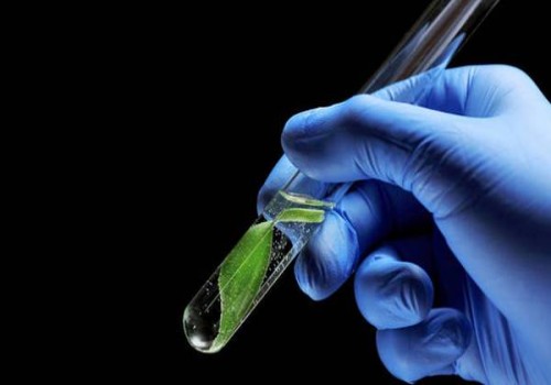 試管嬰兒完成后，準(zhǔn)媽媽該怎么吃？