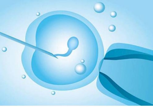 子宮前壁女兒后壁兒子沒(méi)有科學(xué)依據(jù)！胎兒性別與懷孕位置沒(méi)有關(guān)系