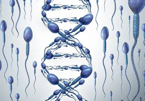 這四個(gè)原因就是不能自主排卵的元兇，內(nèi)分泌紊亂真得上點(diǎn)心