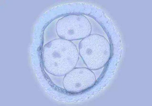 寧波正規(guī)助孕機(jī)構(gòu)：做完造影當(dāng)月可以懷孕嗎？了解造影后的備孕最佳時(shí)間