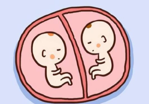 寧波試管嬰兒價(jià)格：最新三胎政策補(bǔ)助，減輕生娃負(fù)擔(dān)