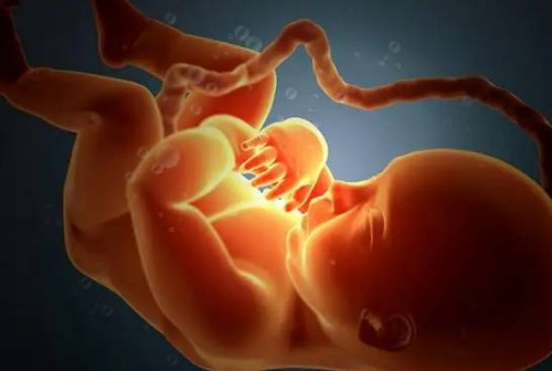 北京大學人民醫(yī)院供卵試管生男孩費用明細，附供卵試管條件