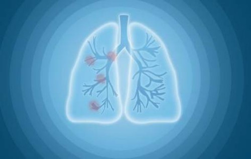 促排讓你避免出現(xiàn)空卵泡的妙招，日常吃什么很關(guān)鍵