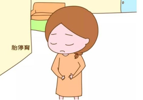 寧波供卵試管：高齡移植兩個(gè)成功率比一個(gè)高，還要考慮這些因素