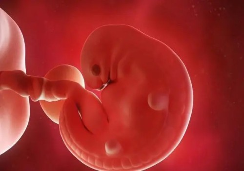 雌激素低對懷孕有什么影響,從這幾方面開始調(diào)理