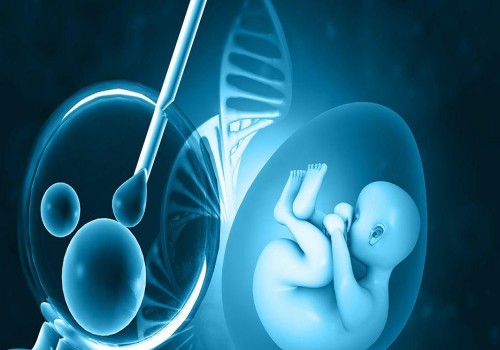 做試管嬰兒生孩子，到底要花多少錢？