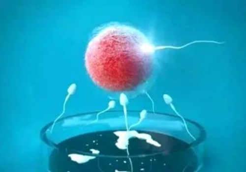 孕囊偏小吃紅薯真有效嗎，醫(yī)生：并無科學(xué)依據(jù)