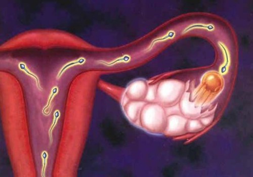 備孕調(diào)理子宮的方法一覽，喝中藥只是其中之一