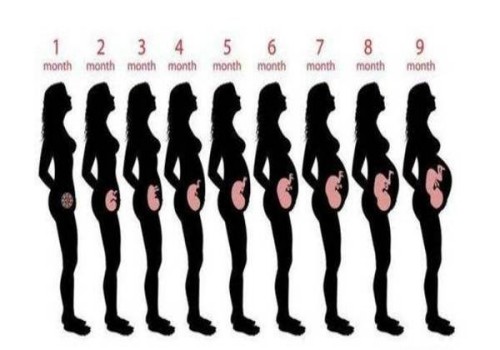 孕婦順產(chǎn)之前需要多少次的內(nèi)檢檢查？