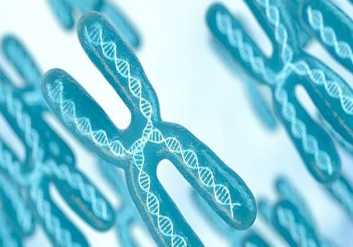 助力卵泡發(fā)育的食物清單，讓你的卵泡更好地發(fā)育。