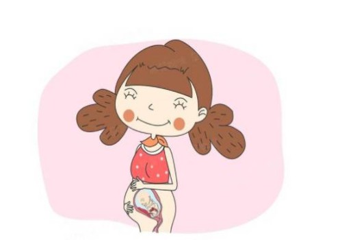 寧波正規(guī)助孕機(jī)構(gòu)：想知道寶寶性別？NT0.07胎心160輕松辨別男女