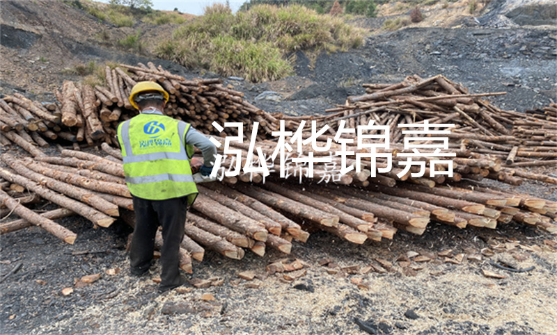 哪里松木樁最便宜？